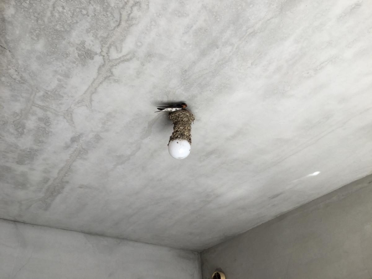 Hostel Ginkakuji Kioto Zewnętrze zdjęcie